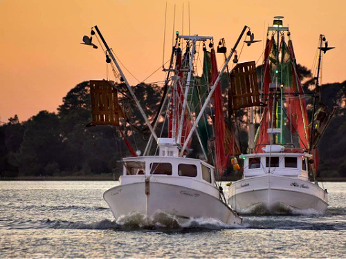 Miss-Ginas-Fresh-Shrimp-BBeaufort-NC