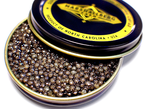 Osetra-Caviar-Marshallberg-Farms-Beaufort-Restaurant-Guide
