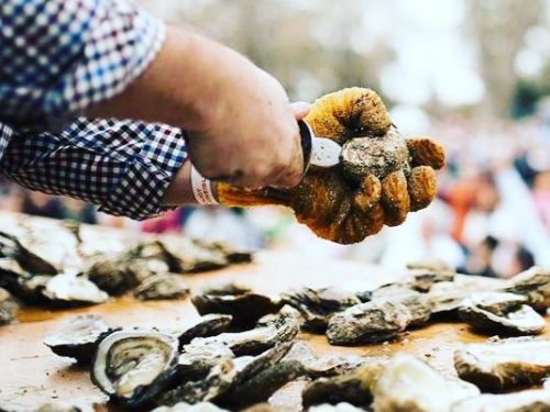 Annual_Oyster_Roast_Beaufort_Wine_and_Food